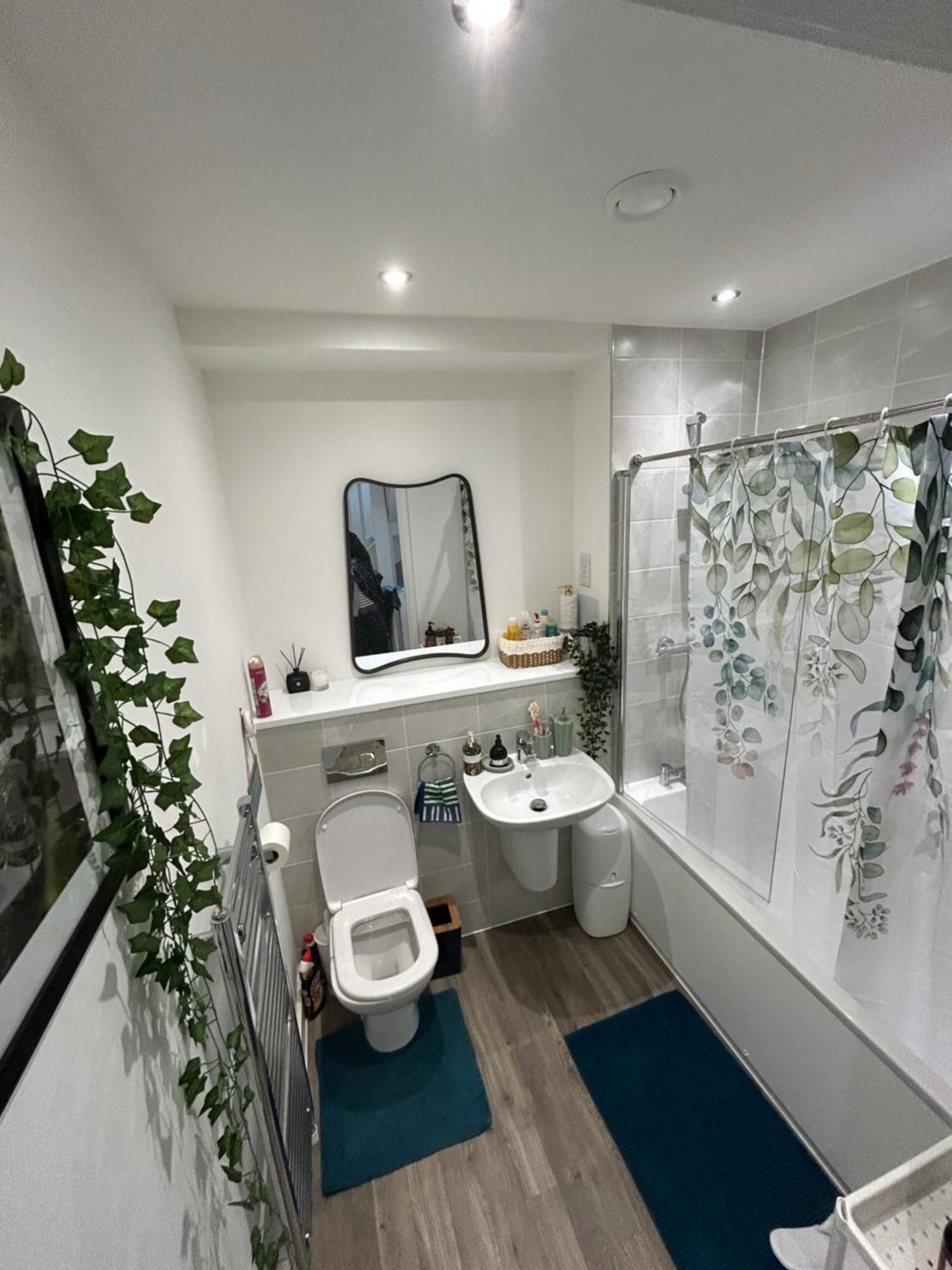 Comfortable Double & Single In Vibrant Hatfield Neighbourhood
